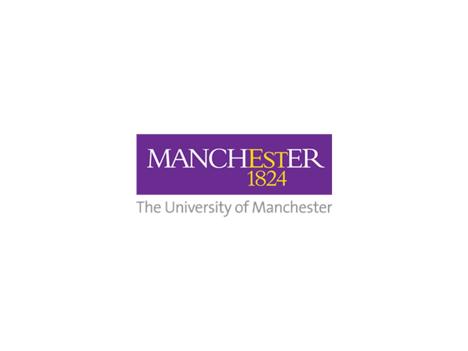 Co-opted Lay Member of the Audit and Risk Committee, The University of Manchester (IMNY)
